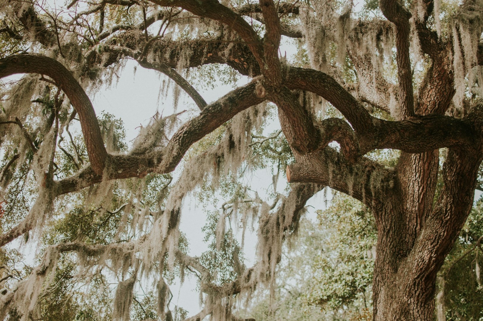  Photo Credit: Photo by Jessica Furtney on Unsplash