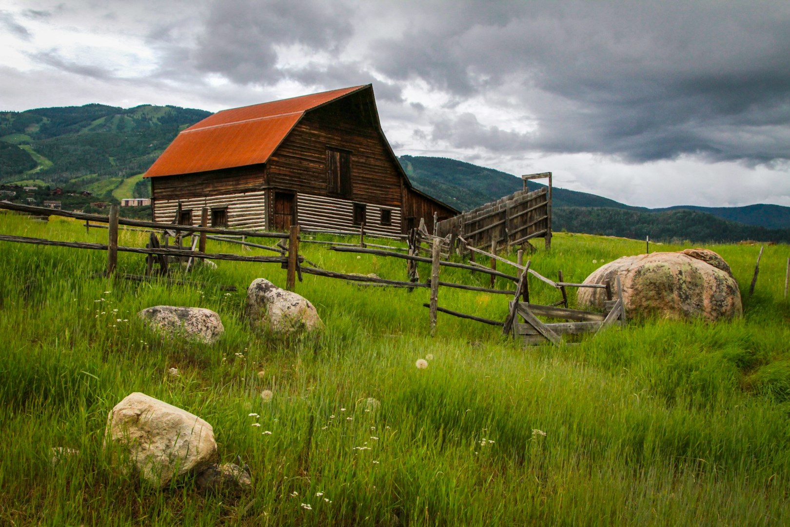  Photo Credit: Photo by Mick Haupt on Unsplash