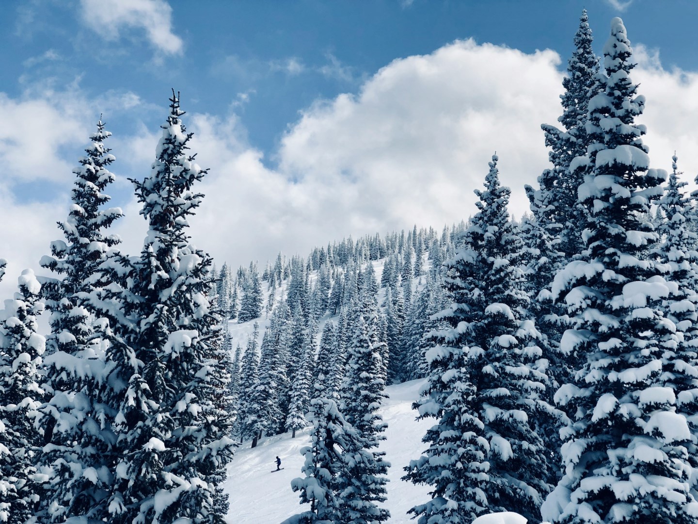  Photo Credit: Photo by Sean Kelley on Unsplash