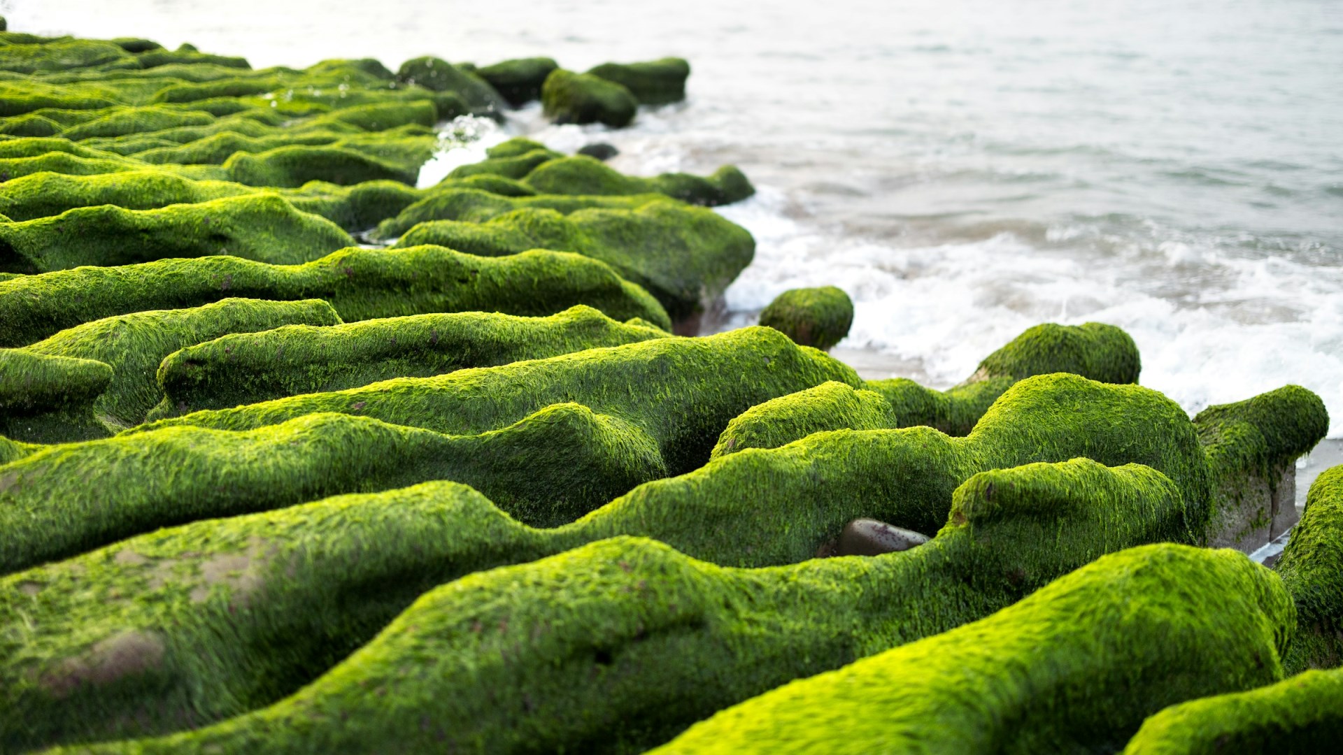 Laomei Green Reef, Shimen District - Photo Credit: Photo by Marek Piwnicki on Unsplash