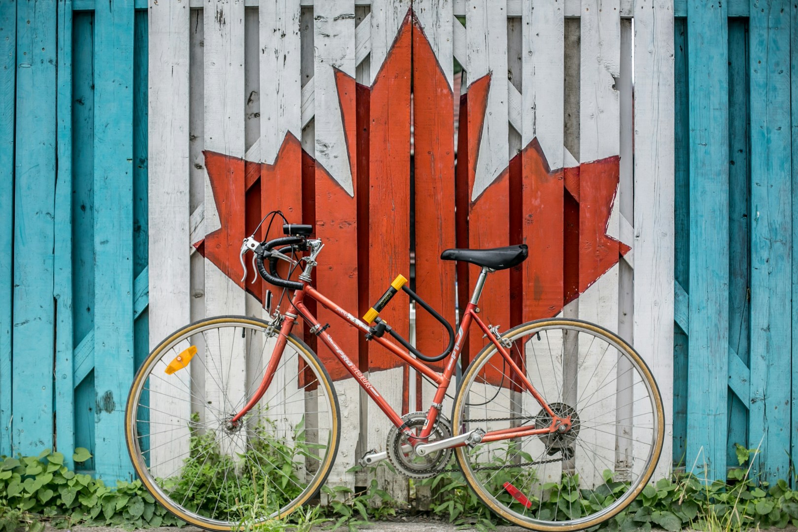  Photo Credit: Photo by Ali Tawfiq on Unsplash