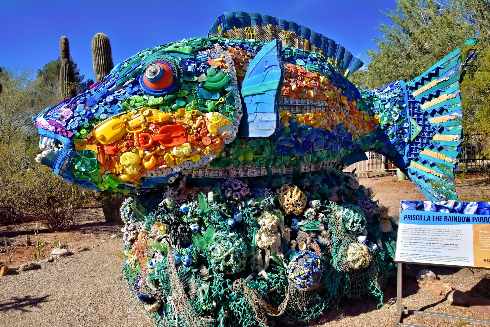 Tucson Botanical Gardens - Photo Credit: Photo by Jeffrey Eisen on Unsplash