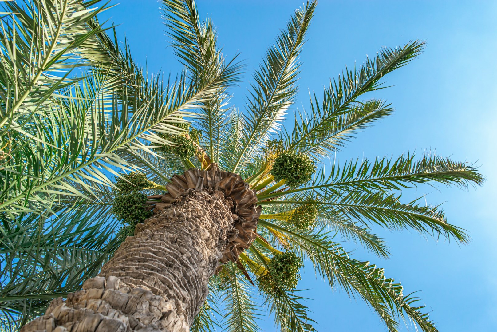  Photo Credit: Photo by HikerPort on Unsplash