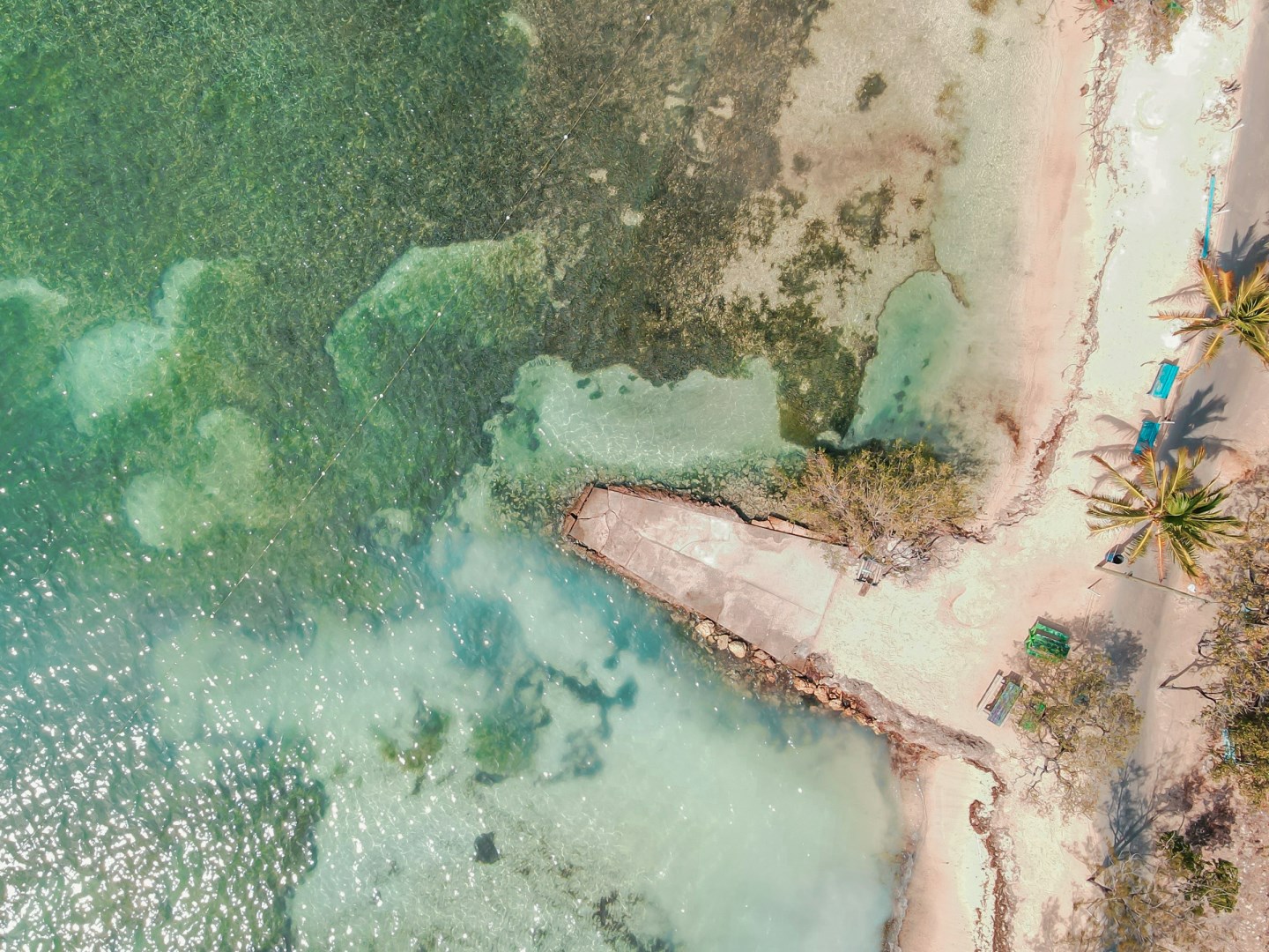  Photo Credit: Photo by Héctor Emilio Gonzalez on Unsplash
