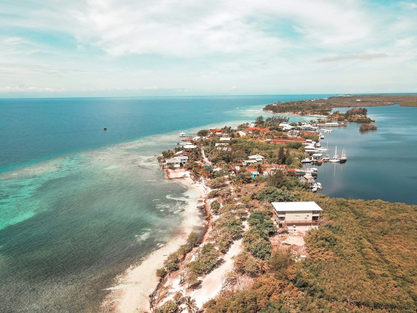 Utila