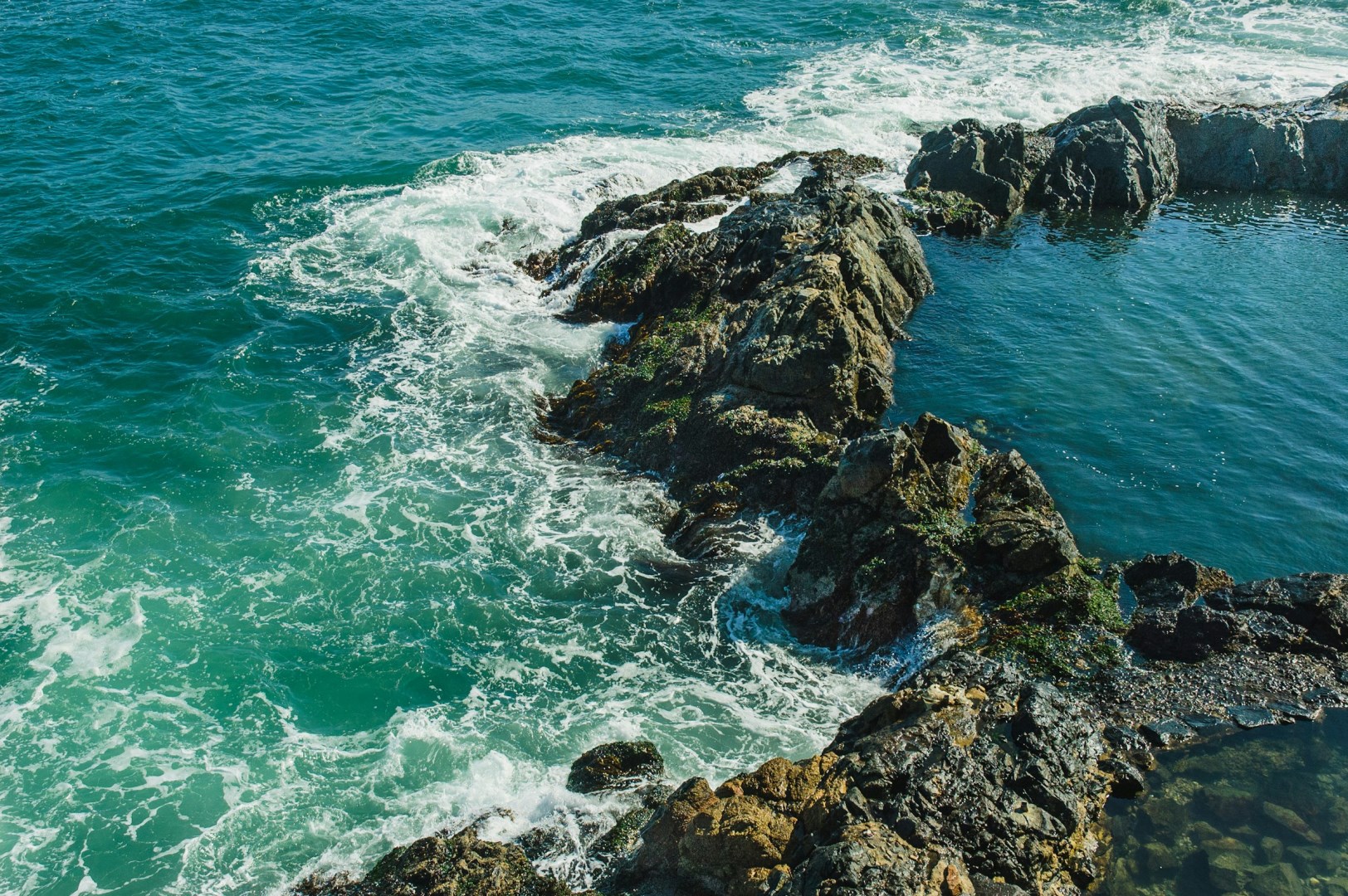  Photo Credit: Photo by Tom Winckels on Unsplash