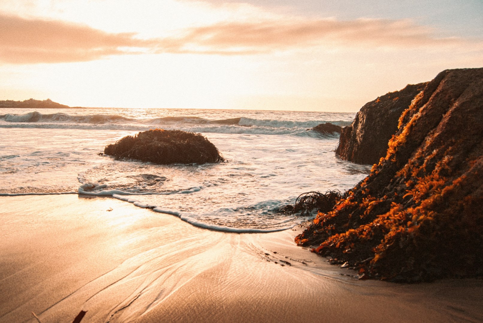 Reñaca Alto - Photo Credit: Photo by Flor Saurina on Unsplash