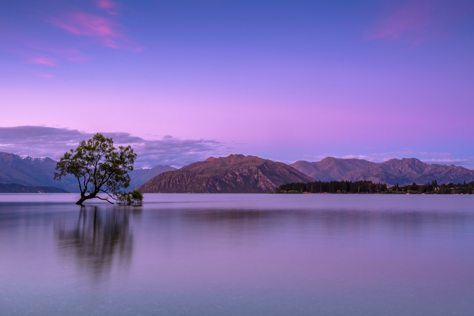  Photo Credit: Photo by Ken Cheung on Unsplash
