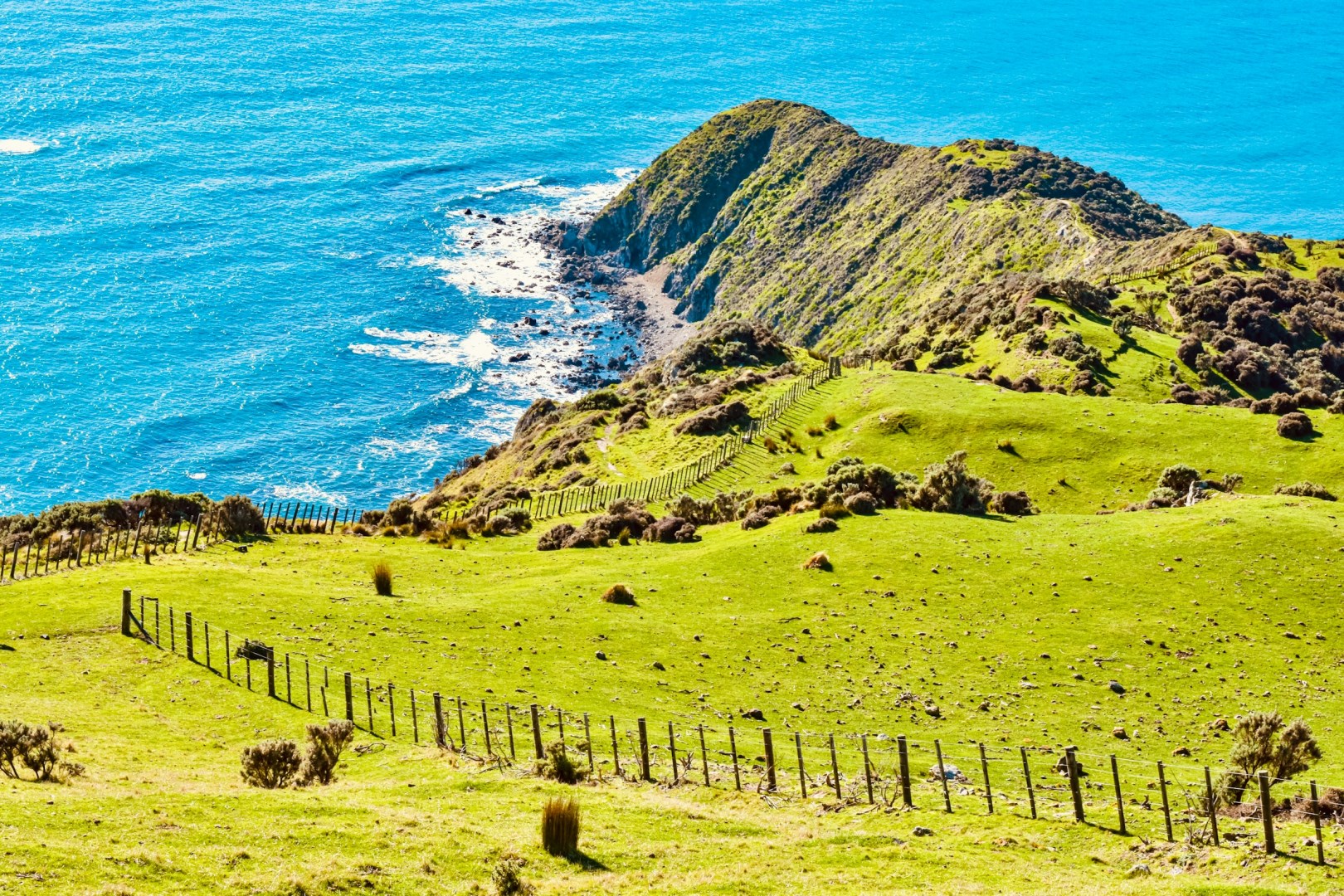 Mākara Beach - Photo Credit: Photo by Sebastian Schuster on Unsplash
