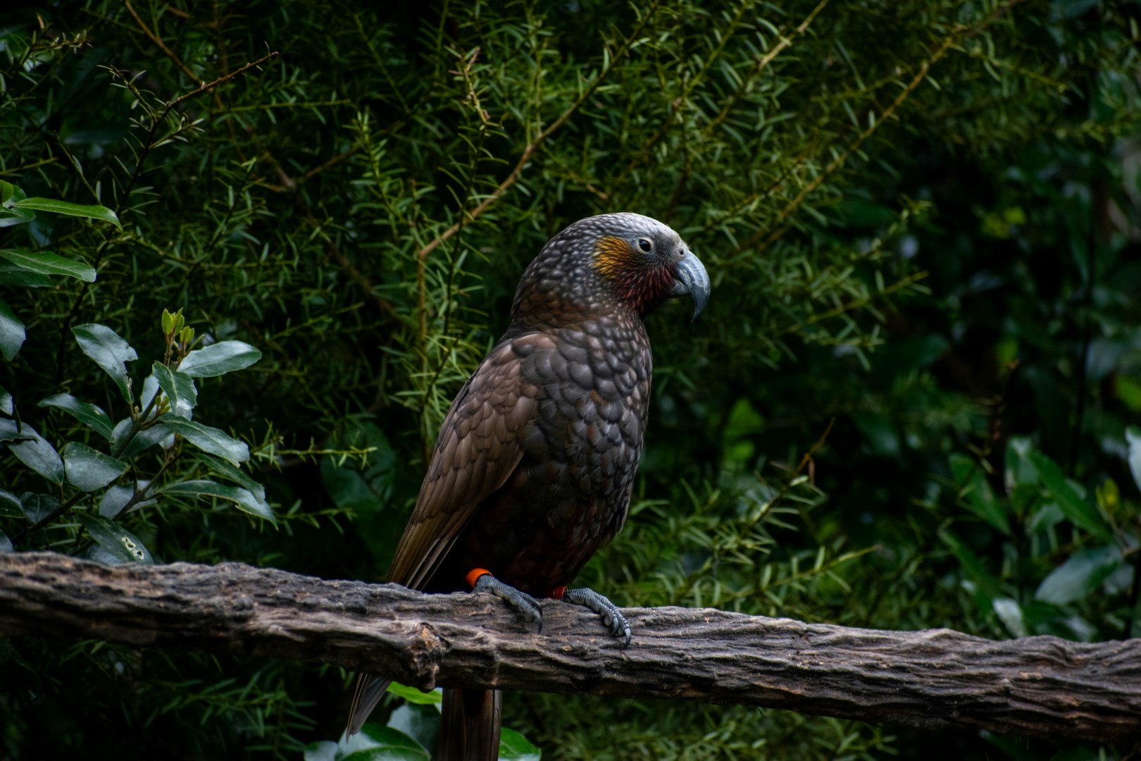  Photo Credit: Photo by Eli Prater on Unsplash