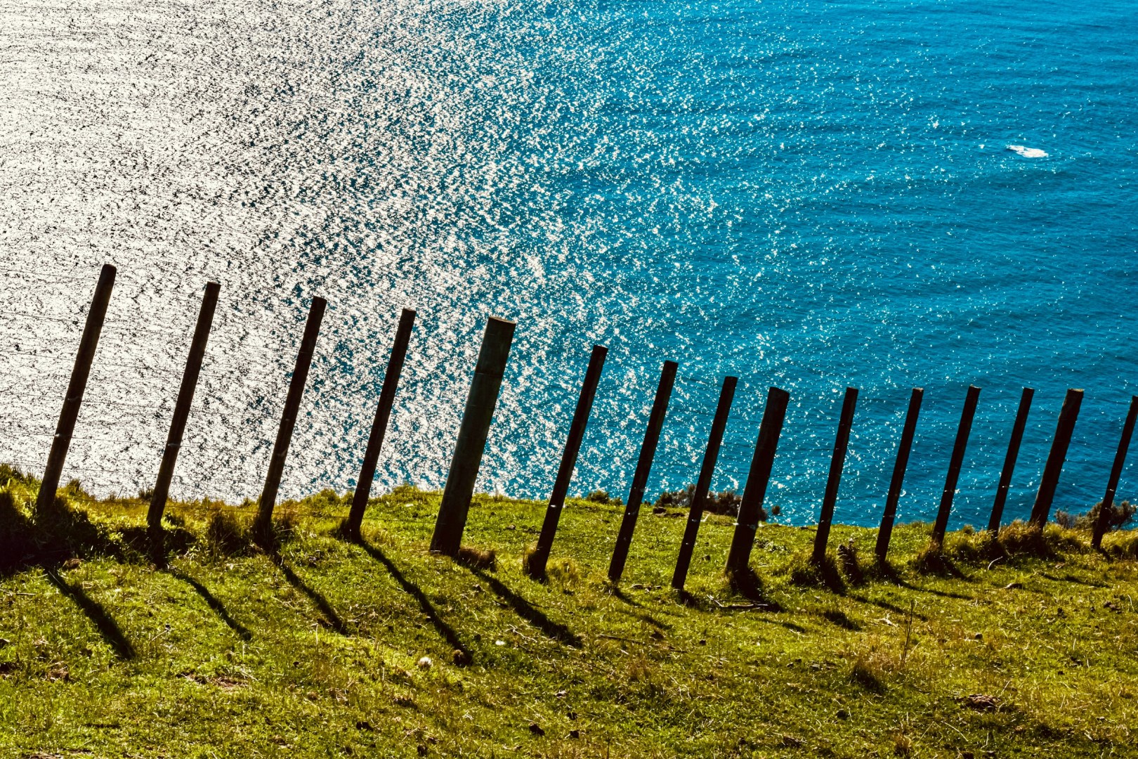 Mākara Beach - Photo Credit: Photo by Sebastian Schuster on Unsplash