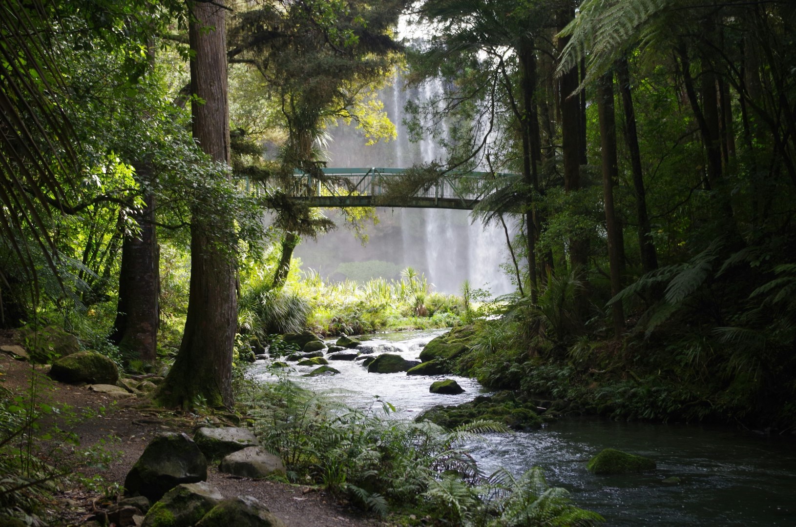 Whangarei Falls - Photo Credit: Photo by Davide Dalfovo on Unsplash