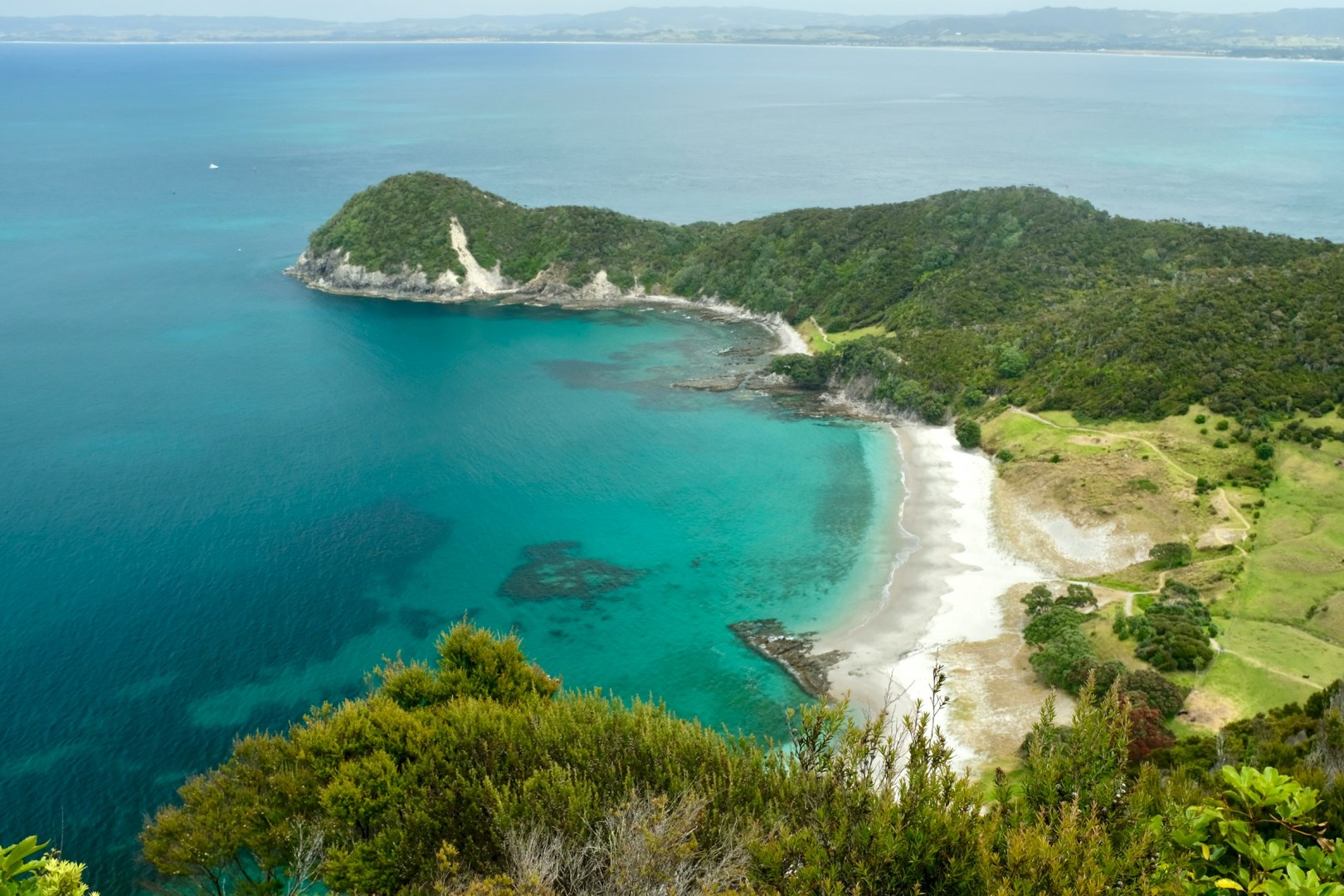 Smugglers Bay, Whangarei Heads - Photo Credit: Photo by David Tip on Unsplash