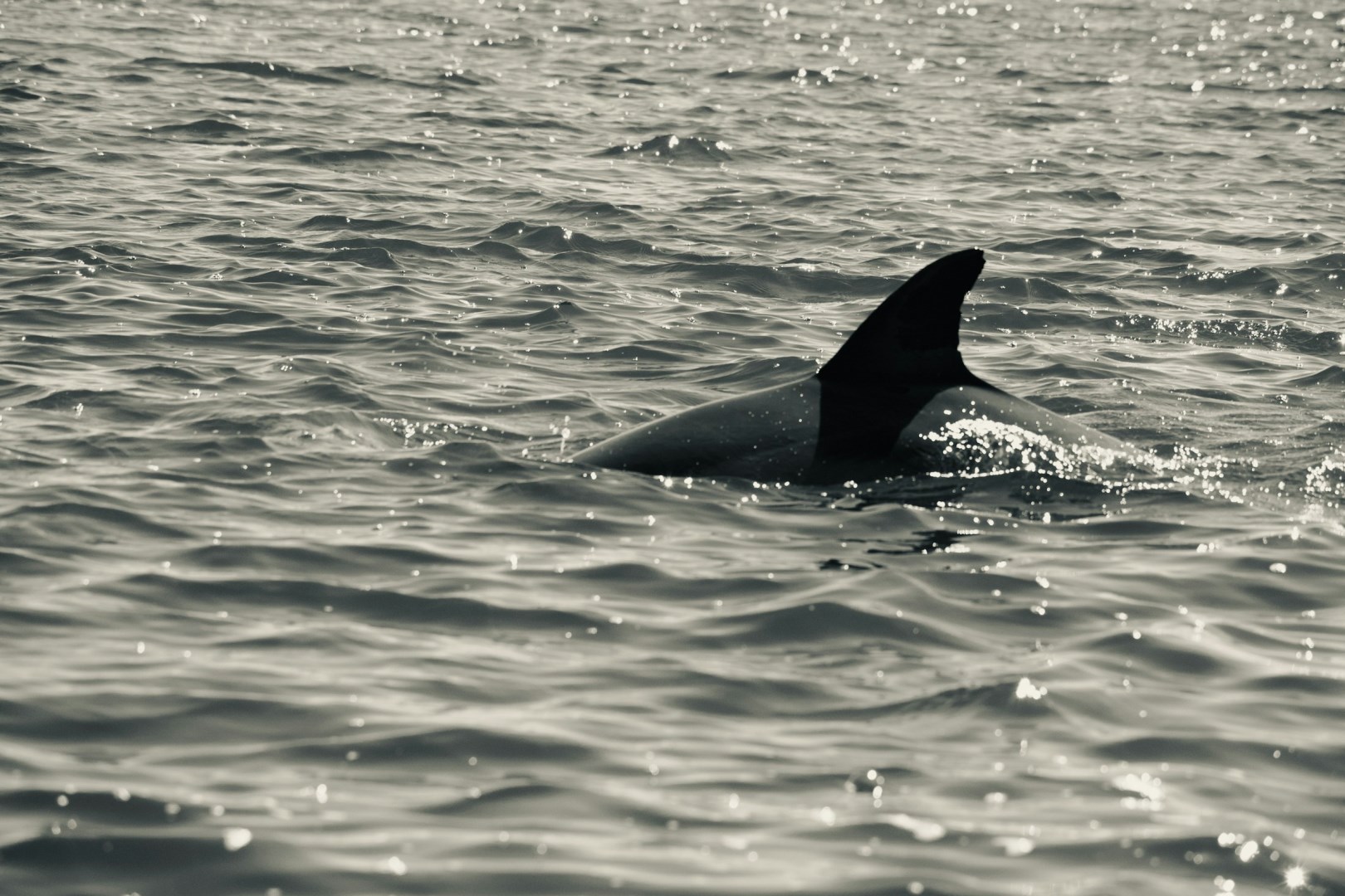Wrightsville Beach - Photo Credit: Photo by Avery Cocozziello on Unsplash