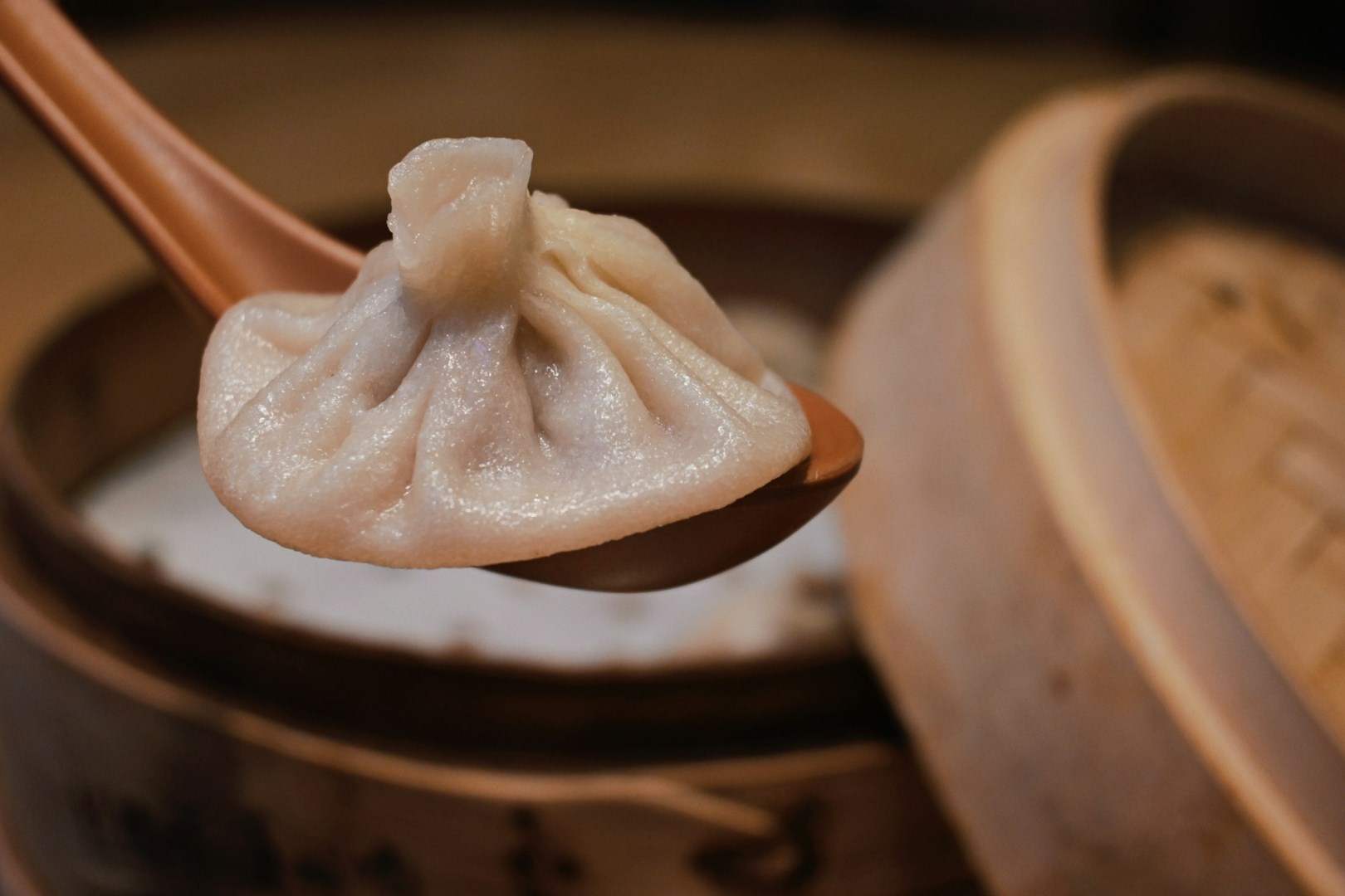  Photo Credit: Photo by ChenXin Zhang on Unsplash