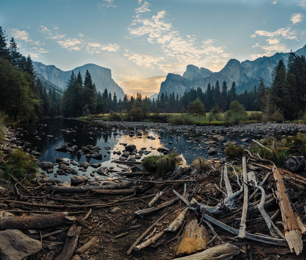  Photo Credit: Photo by Nathan Dumlao on Unsplash