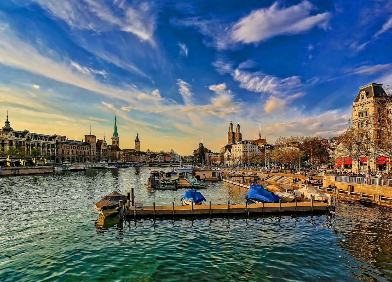  Photo Credit: Photo by Ricardo Gomez Angel on Unsplash