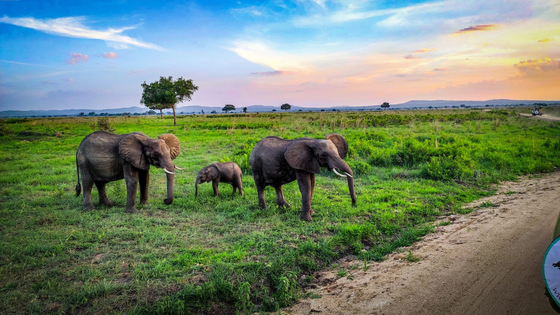  Photo Credit: Photo by Łukasz on Unsplash