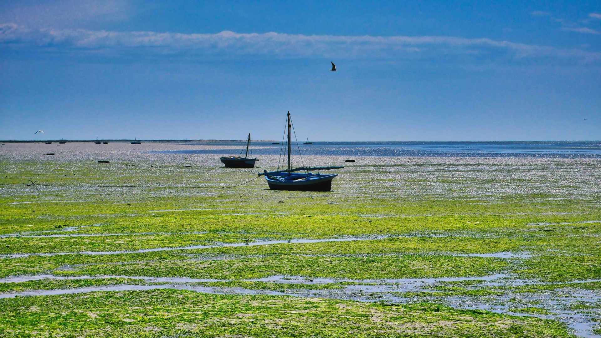 Gulf of Tunis - Photo Credit: Photo by Serge Krasnov on Unsplash