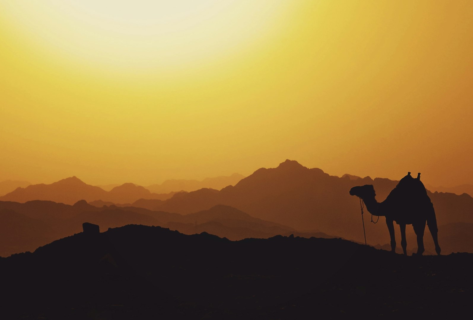  Photo Credit: Photo by Mariam Soliman on Unsplash