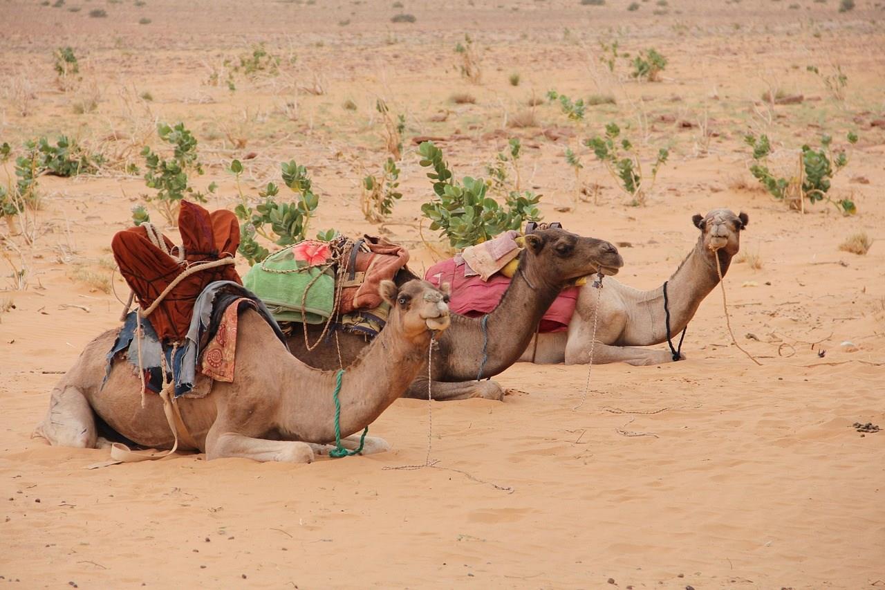 Mauritania