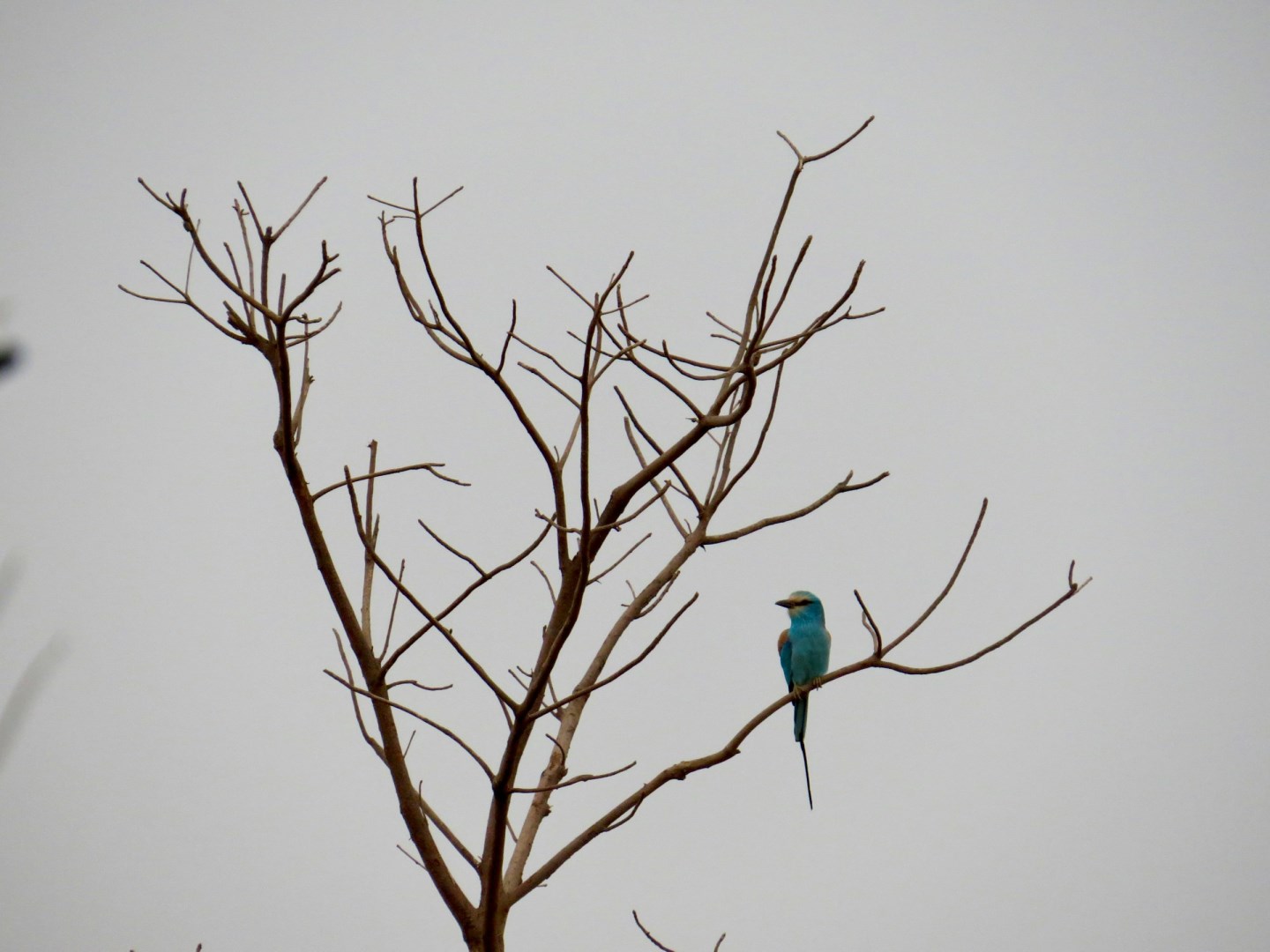  Photo Credit: Photo by E. Diop on Unsplash