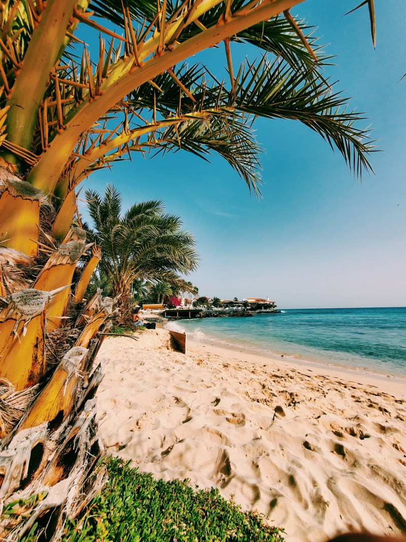  Photo Credit: Photo by Victor Svistunov on Unsplash