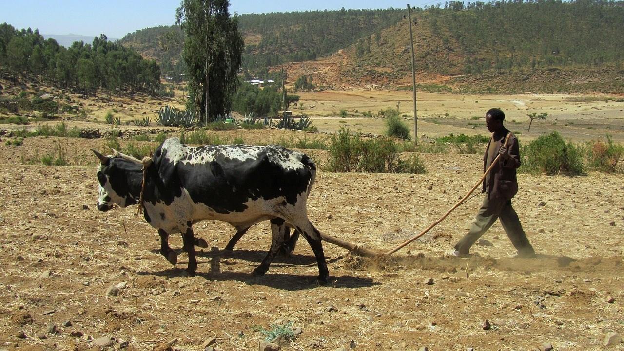 Ethiopia
