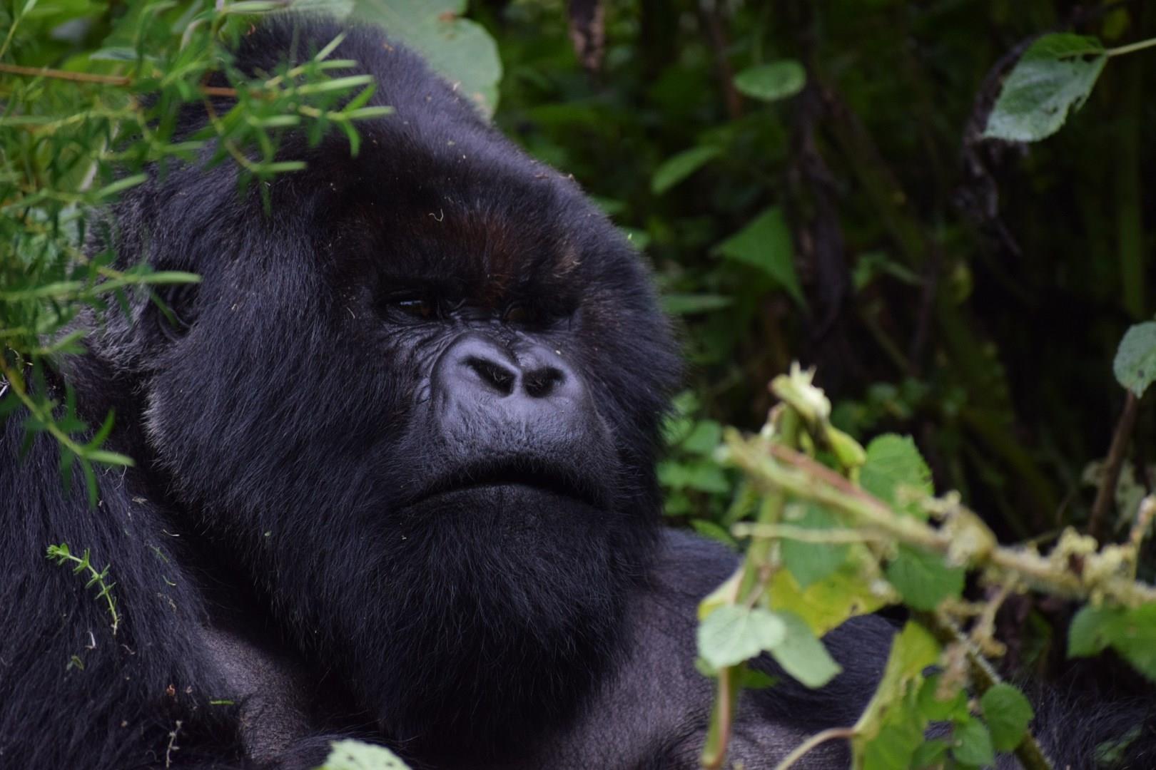 Rwanda