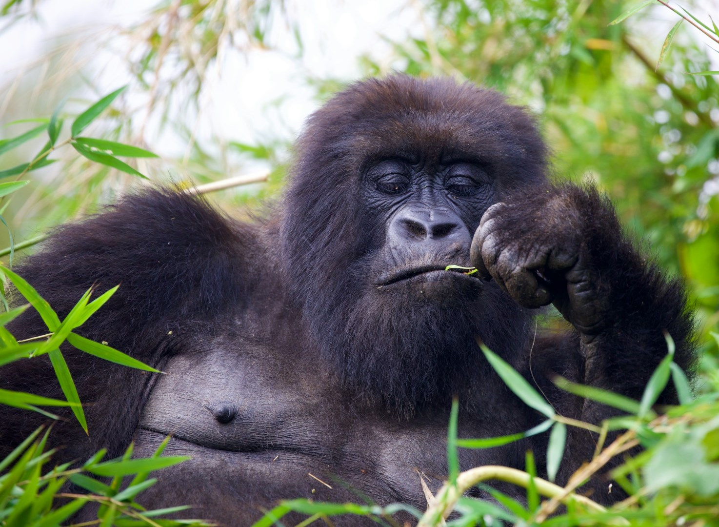  Photo Credit: Photo by Magdalena Kula Manchee on Unsplash