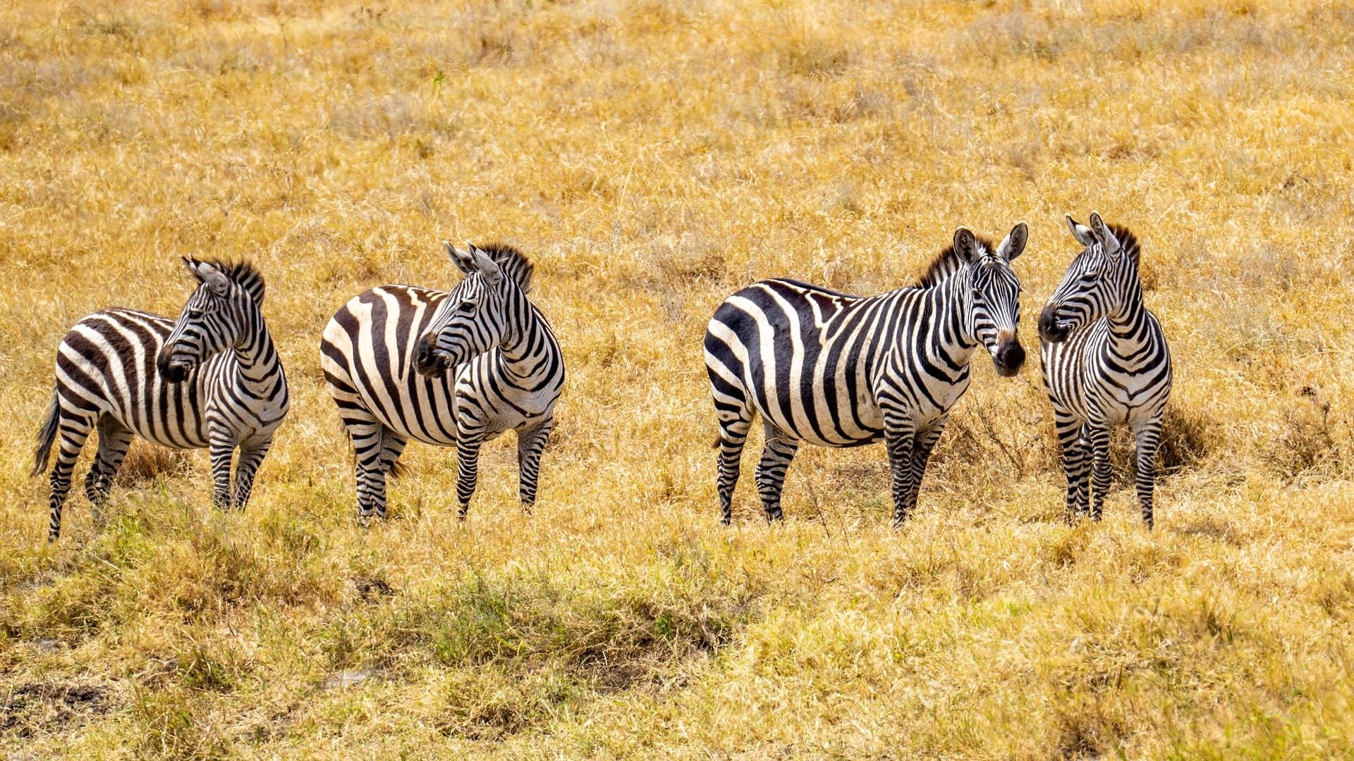Tanzania