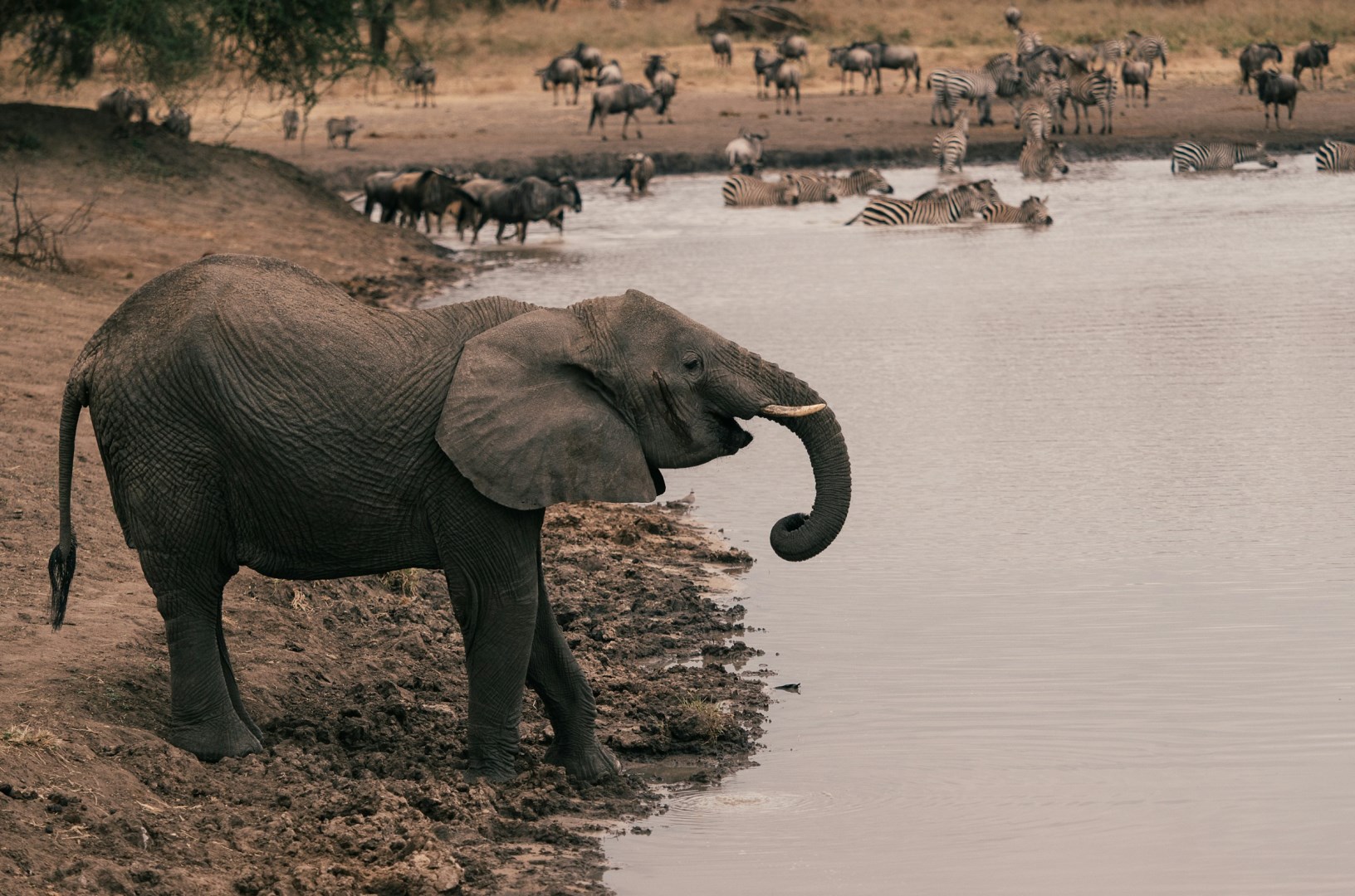  Photo Credit: Photo by Elliot PARIS on Unsplash