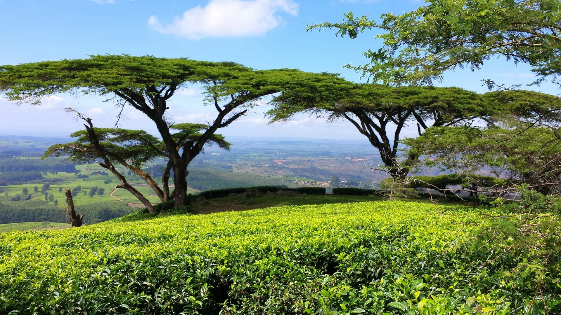 Malawi