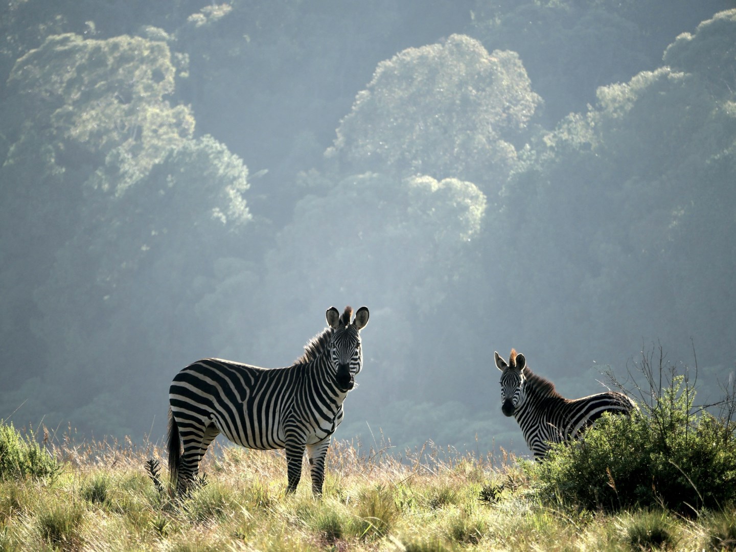  Photo Credit: Photo by Ray Aucott on Unsplash
