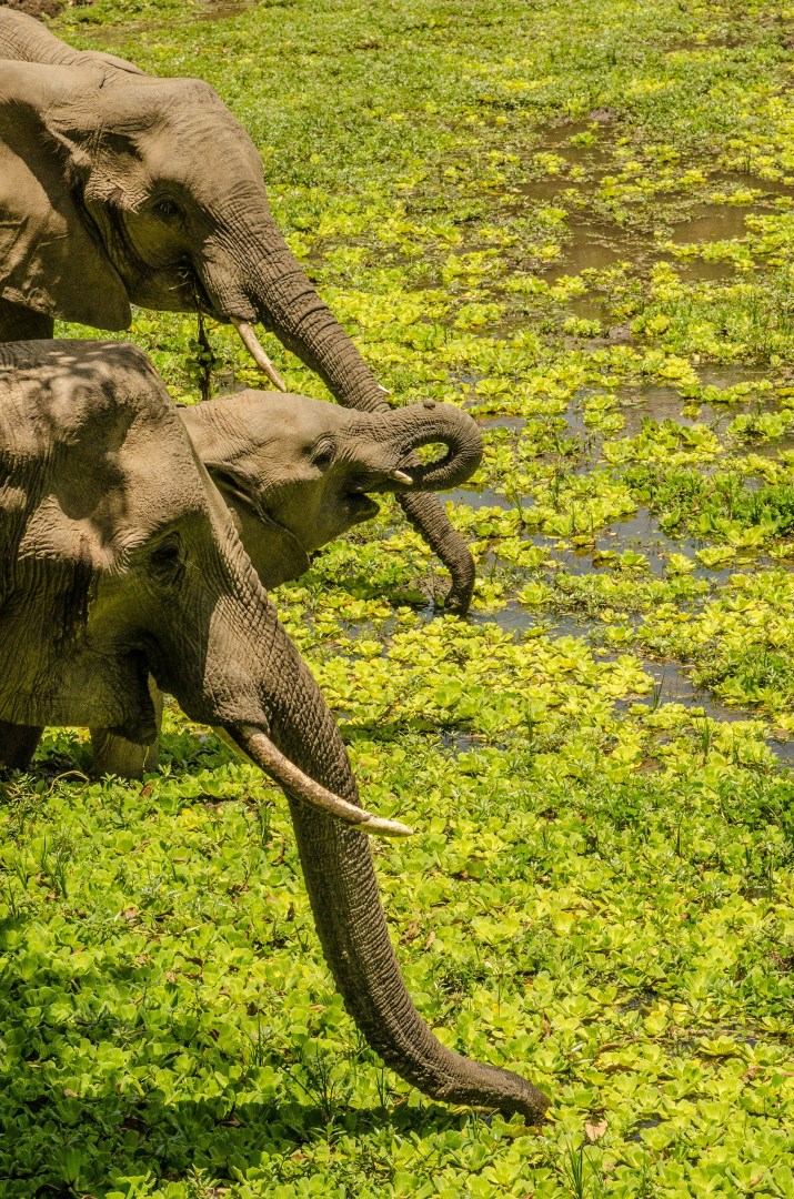  Photo Credit: Photo by Birger Strahl on Unsplash