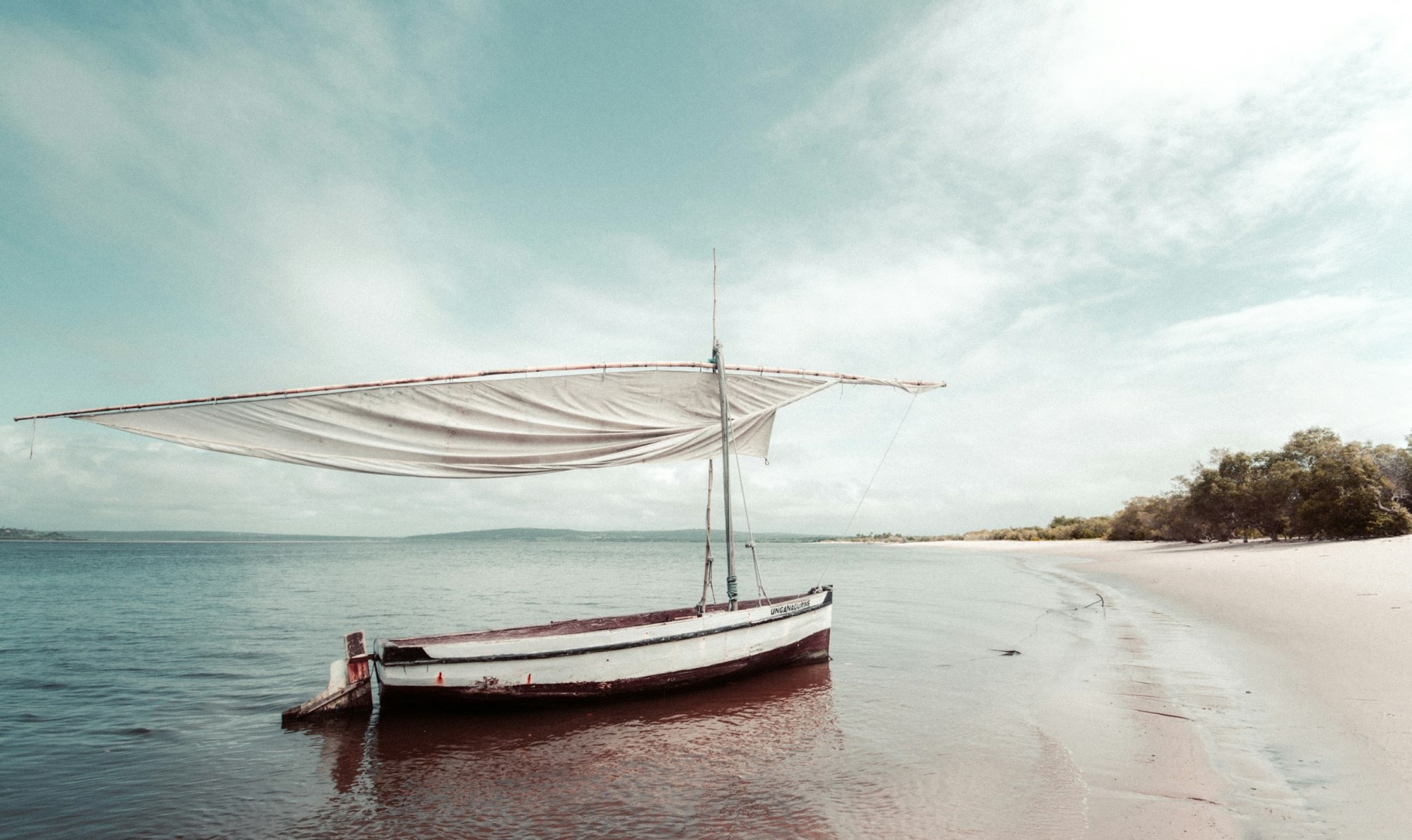  Photo Credit: Photo by redcharlie on Unsplash