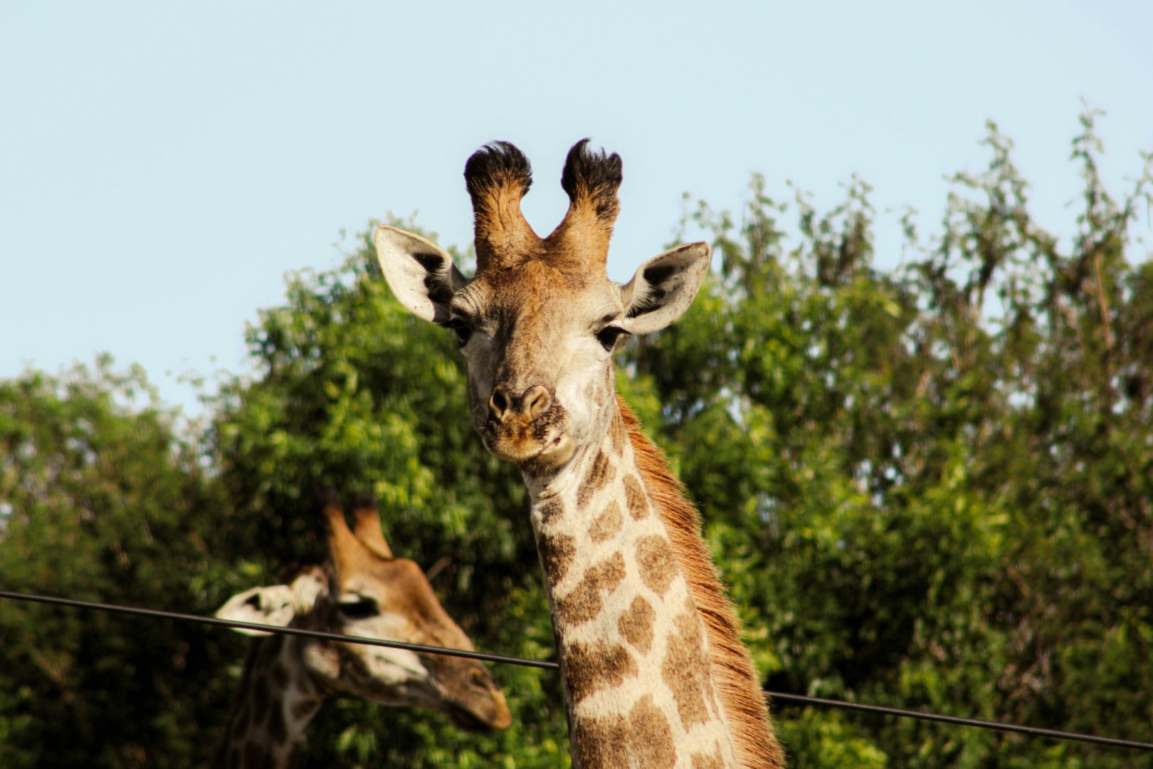  Photo Credit: Photo by Deborah Varrie on Unsplash