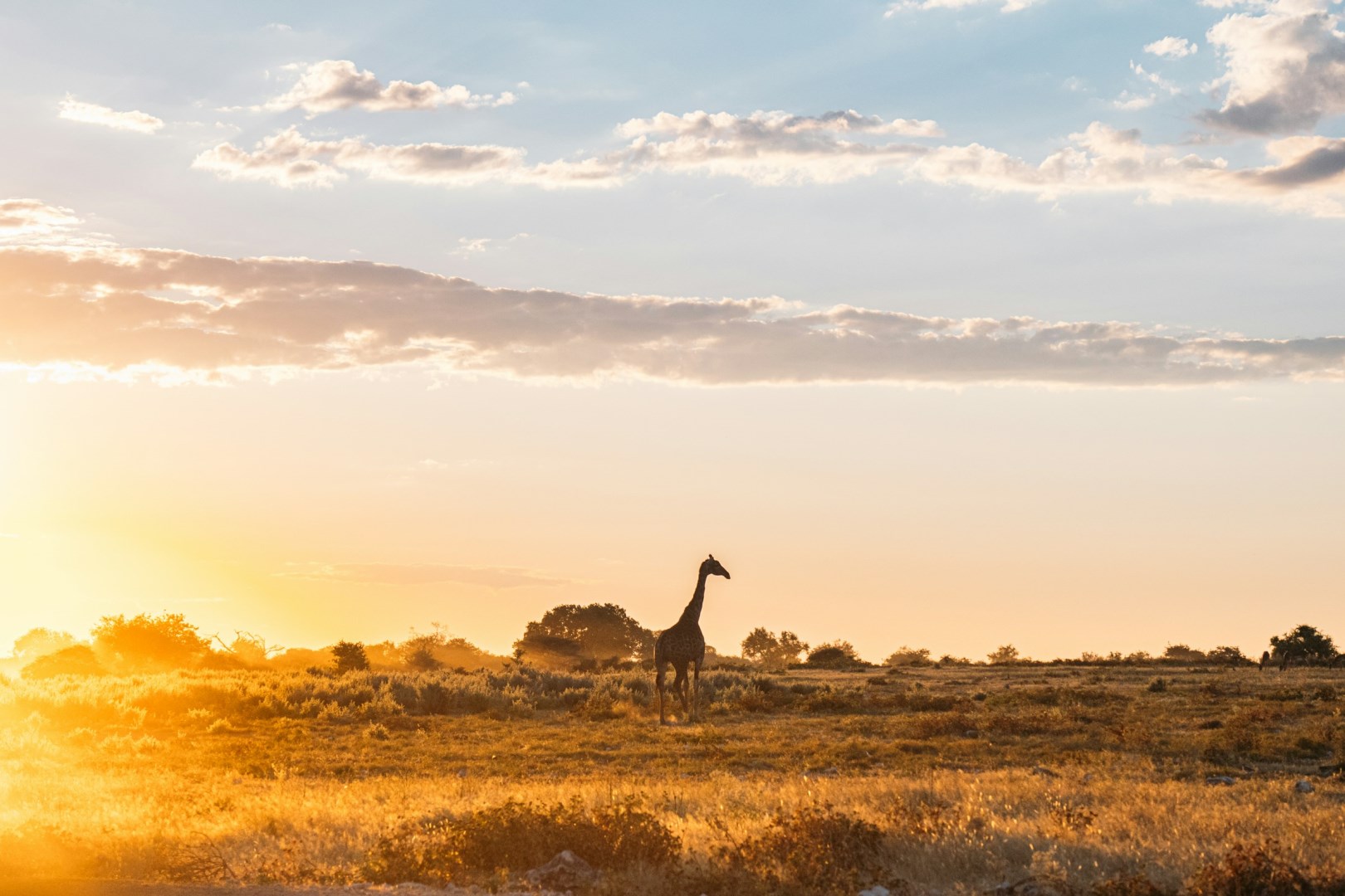  Photo Credit: Photo by Rafael Peier on Unsplash