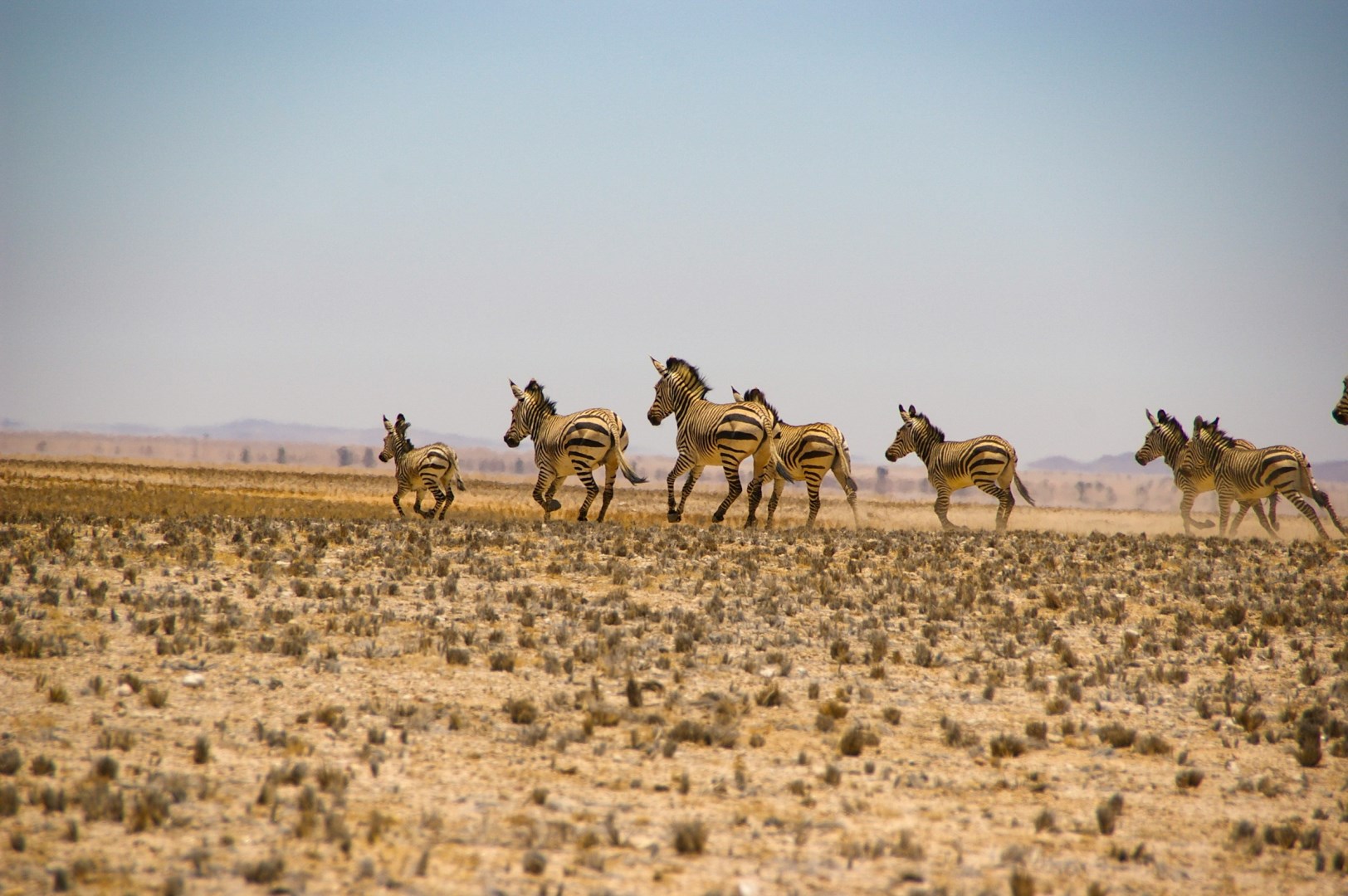  Photo Credit: Photo by m_oros on Unsplash