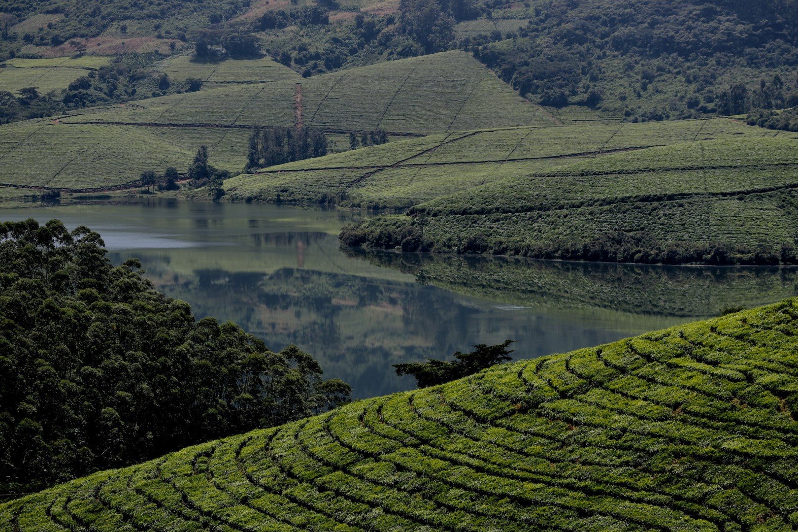 Eastern Highlands - Photo Credit: Photo by Tatenda Mapigoti on Unsplash