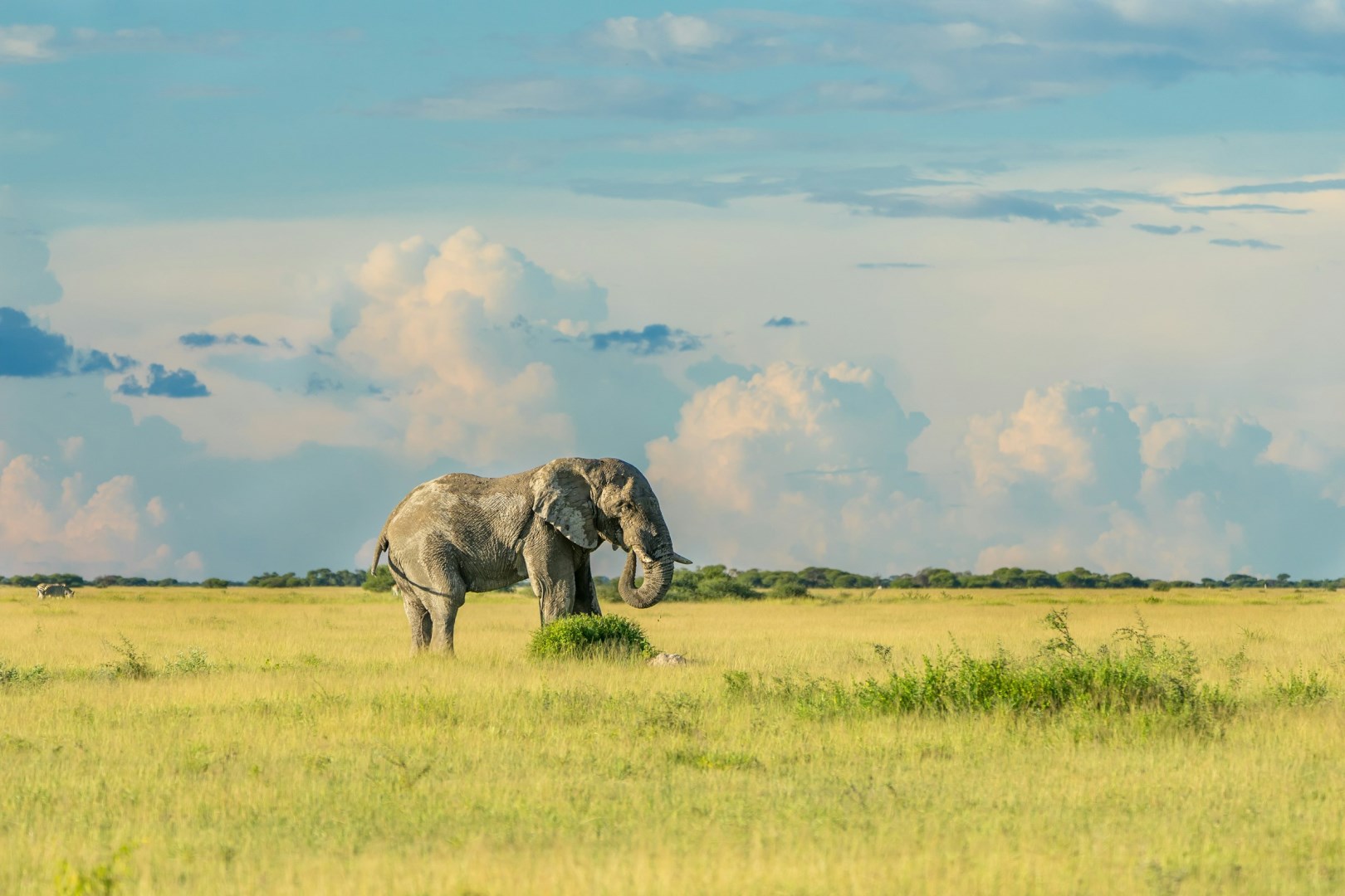  Photo Credit: Photo by Hans-Jurgen Mager on Unsplash