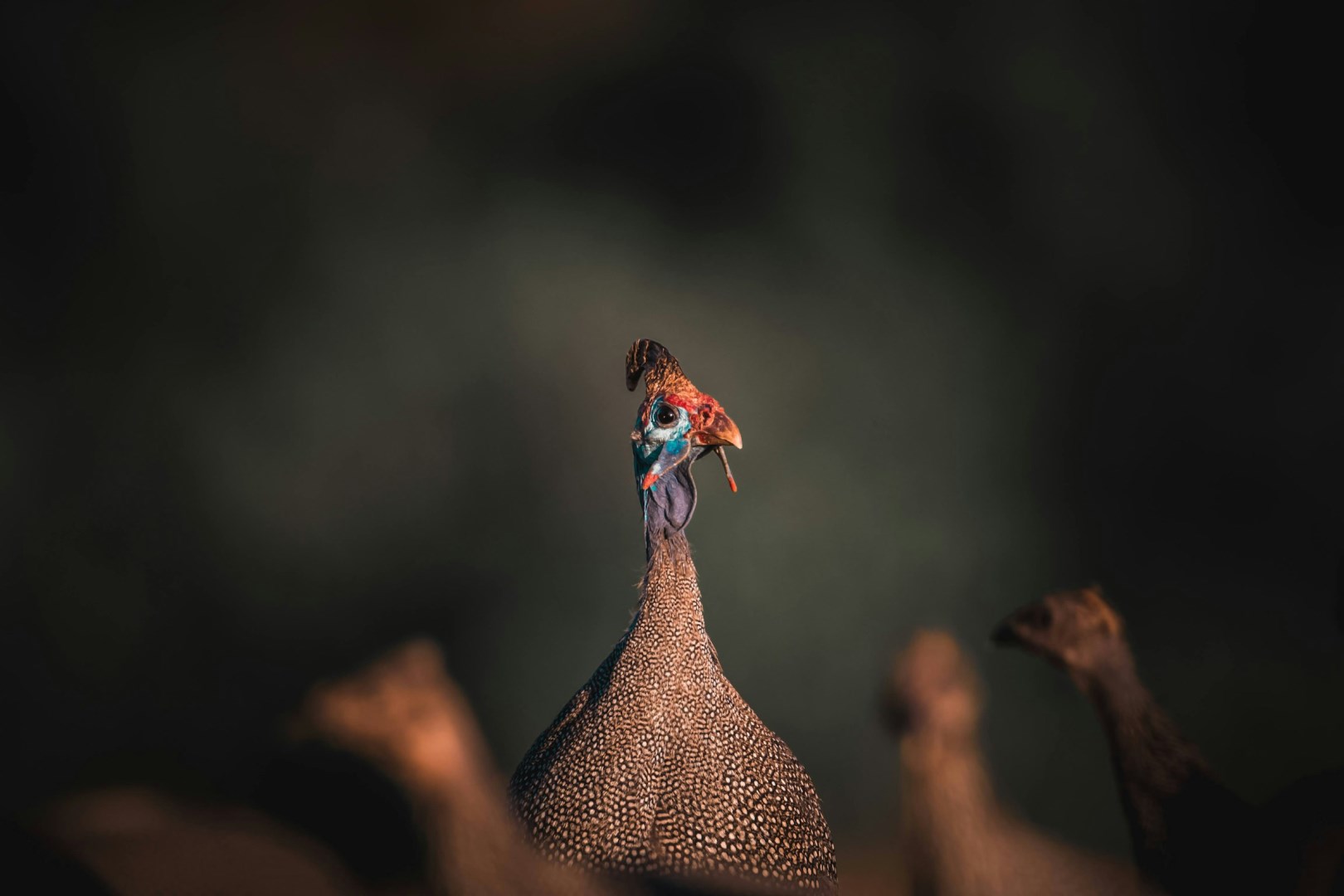  Photo Credit: Photo by Buan Stanley on Unsplash