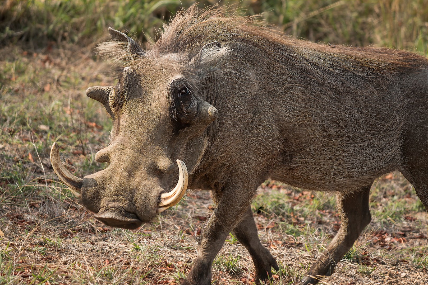  Photo Credit: Photo by Dick Hoskins on Pexels