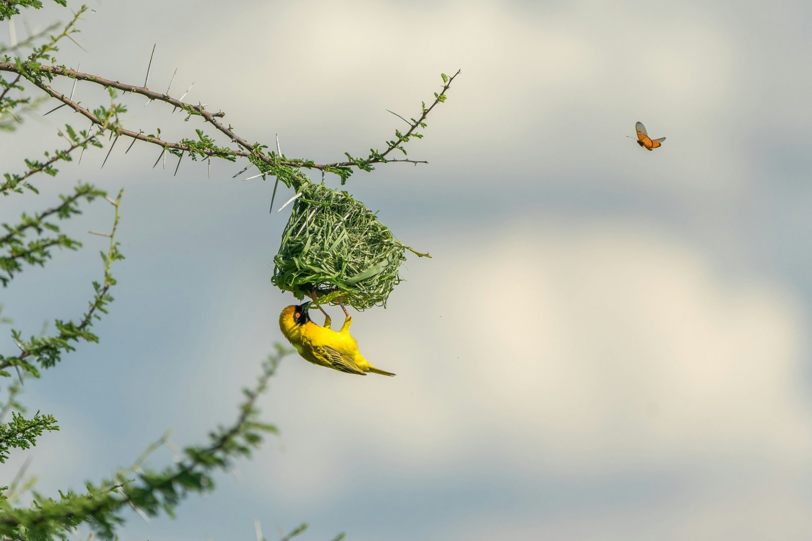  Photo Credit: Photo by Hans-Jurgen Mager on Unsplash