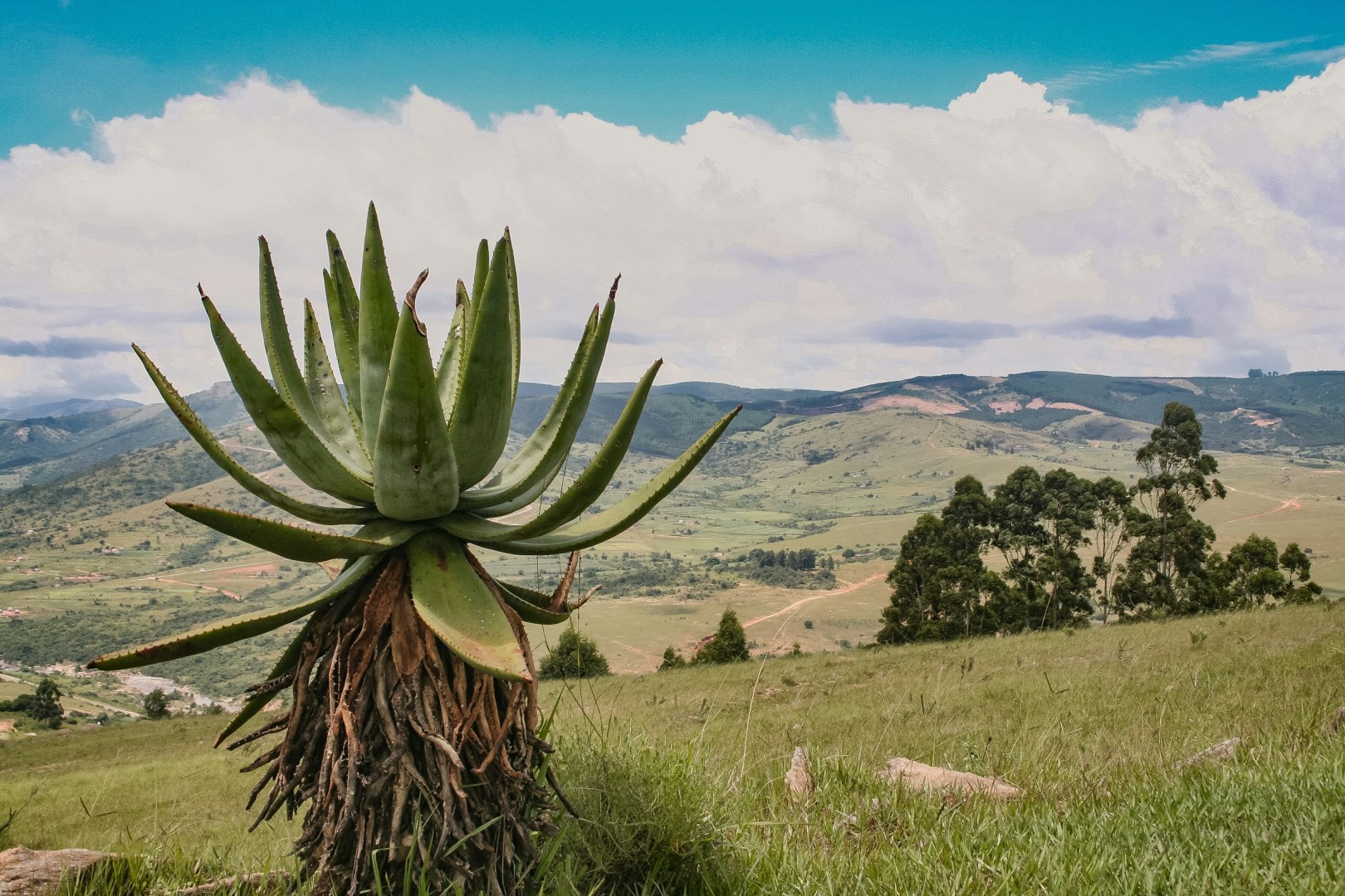  Photo Credit: Photo by Eswatini Photography on Unsplash
