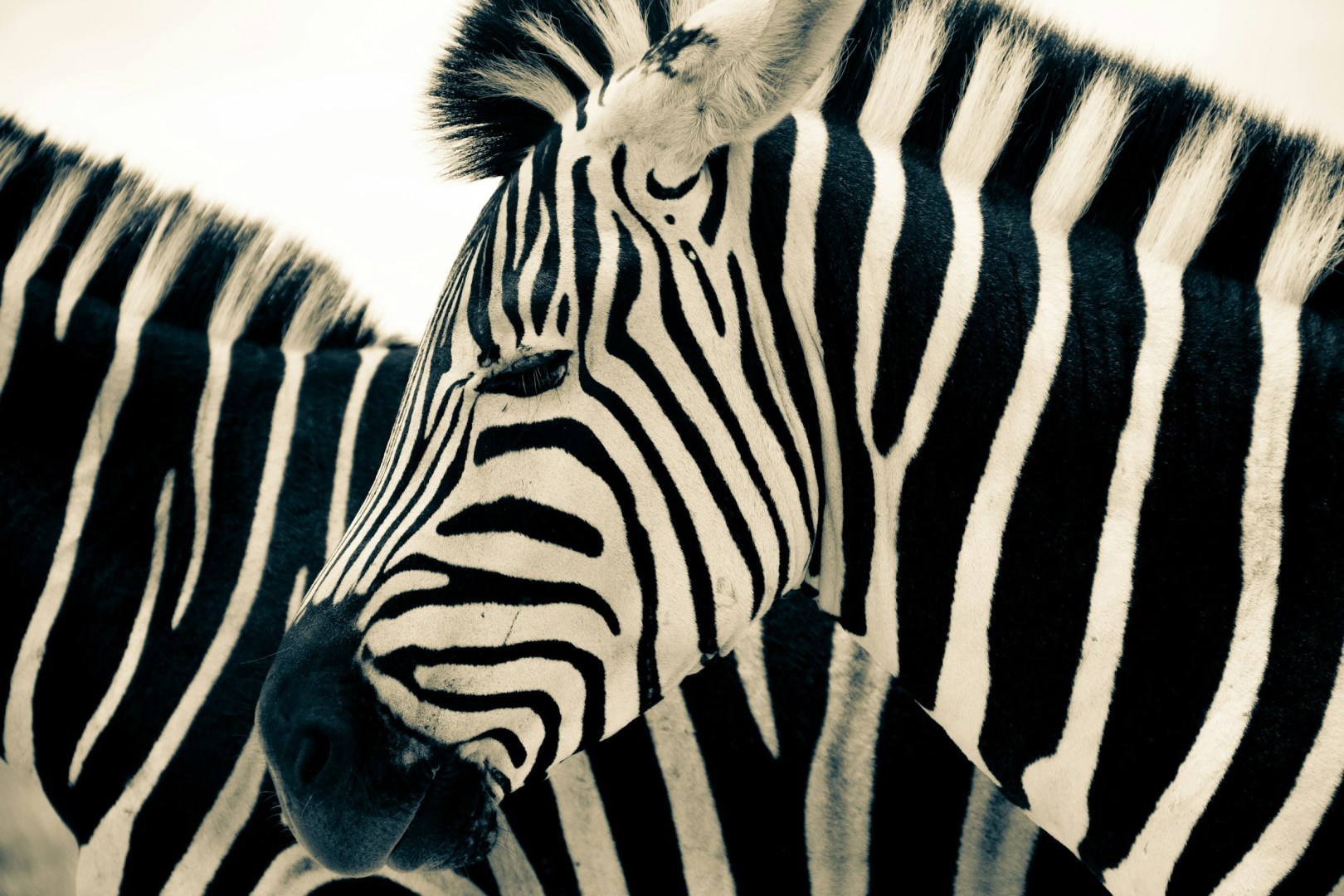  Photo Credit: Photo by Kyle Petzer on Unsplash