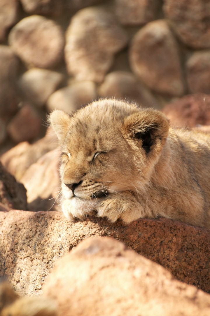  Photo Credit: Photo by Andrea Brataas on Unsplash