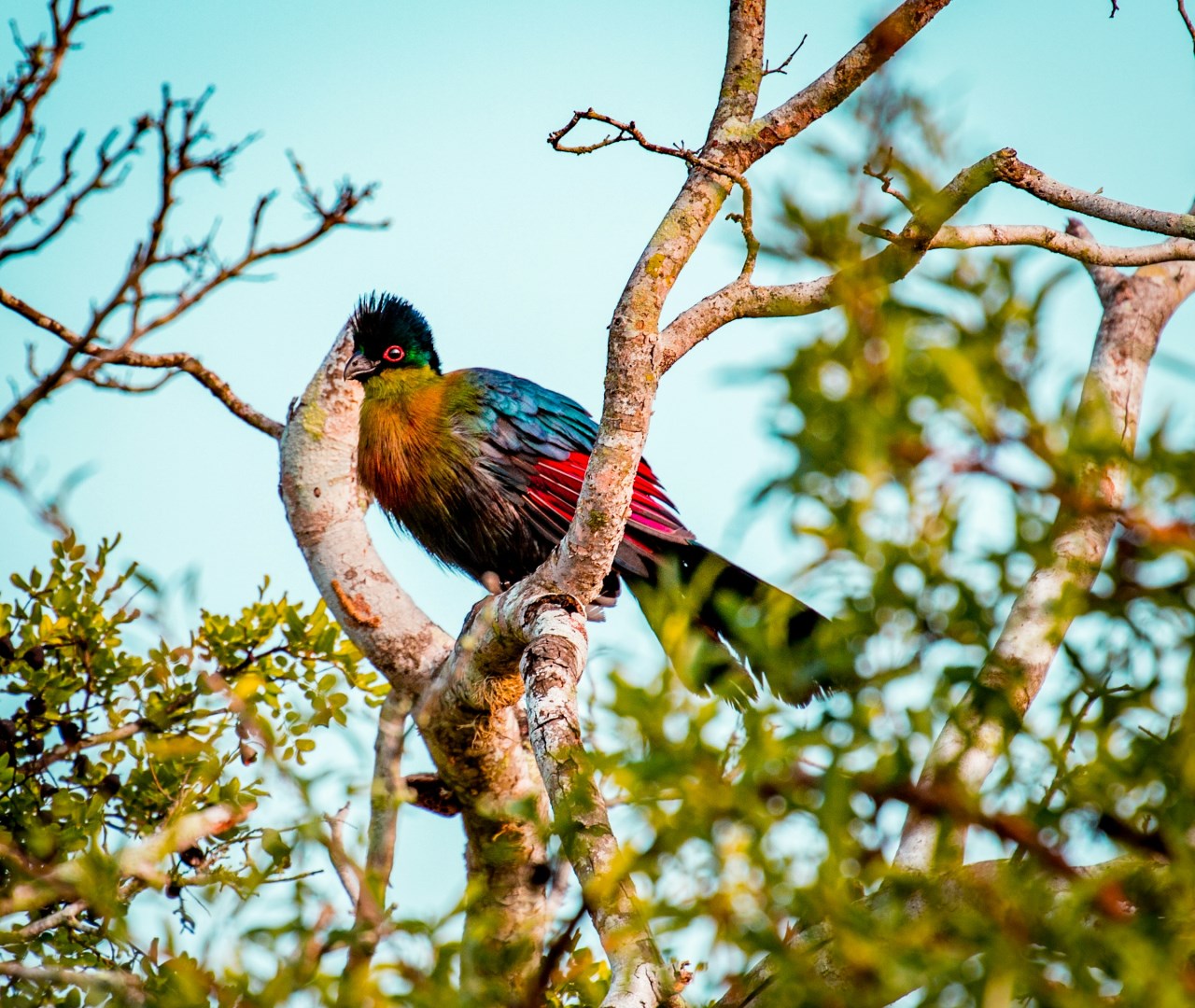  Photo Credit: Photo by Matt Burke on Unsplash
