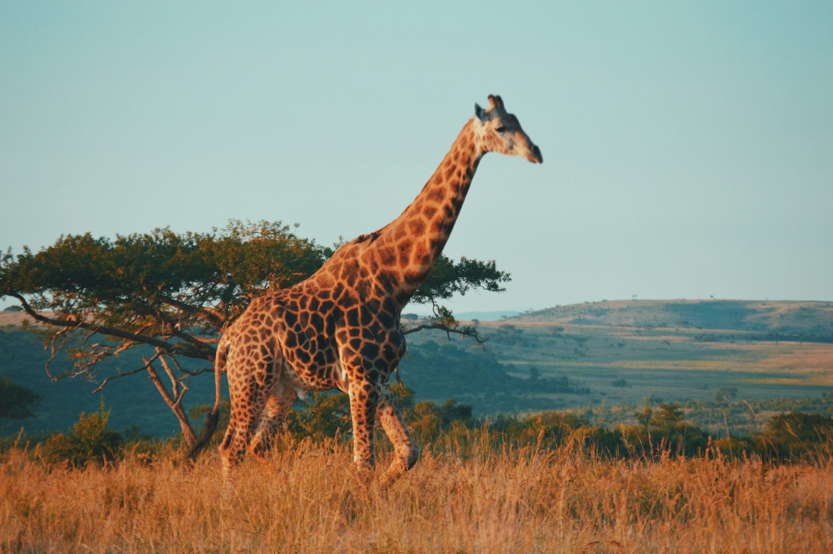  Photo Credit: Photo by Kelly Arnold on Unsplash