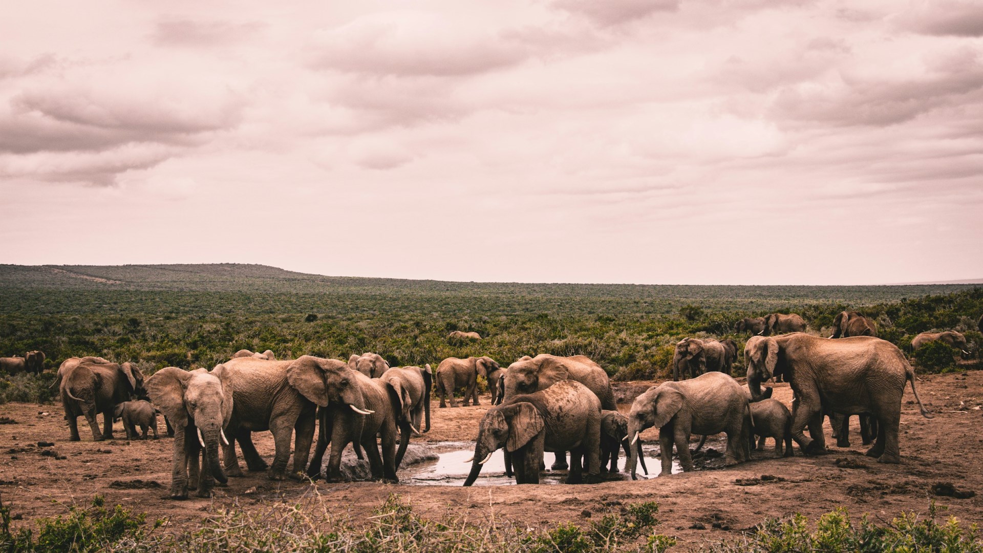  Photo Credit: Photo by Kyle Petzer on Unsplash